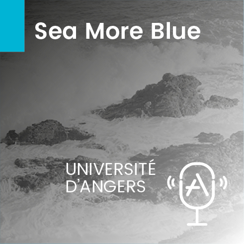 visuel-368_seamoreblue