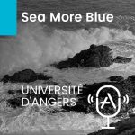 Sea More Blue
