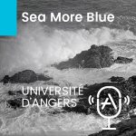 Sea More Blue