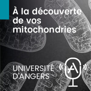 À la découverte de vos mitochondries - épisode 1